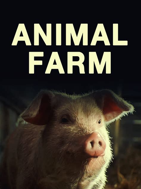 The 500-gallon term means the tank has a water capacity of 500 gallons, according to Midway Gas. . Animal farm movie 2022